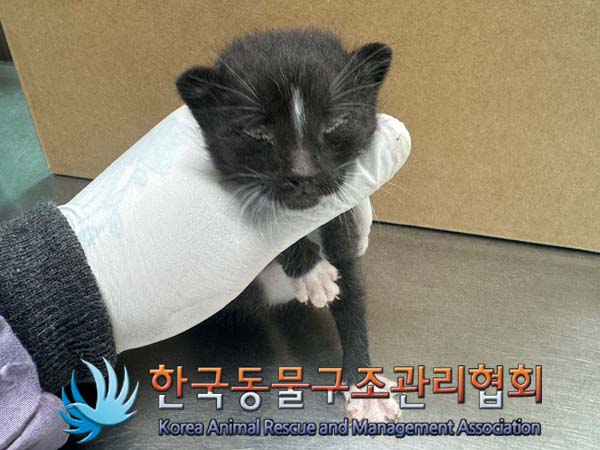 종료(자연사) 한국…